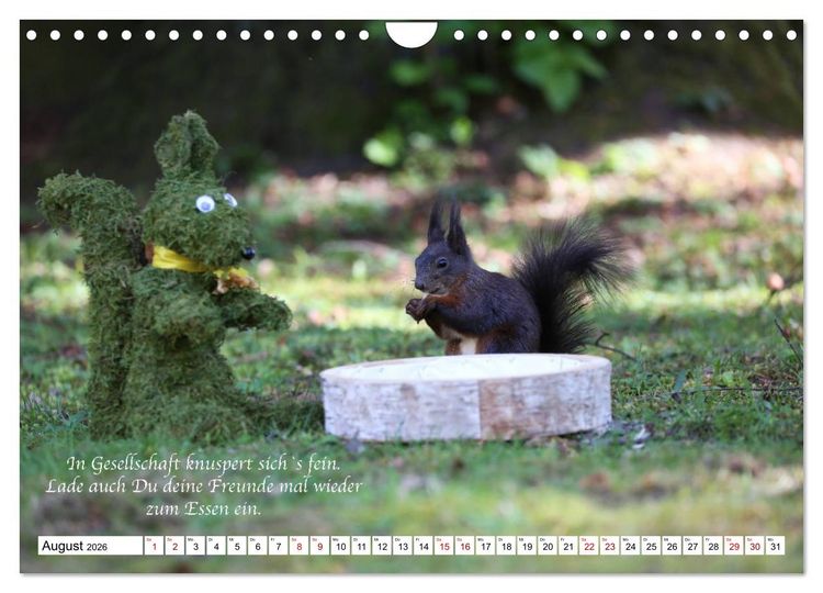Produktbild: Tipps von Eichh&ouml;rnchen an Eichh&ouml;rnchenliebhaber (Wandkalender 2026 DIN A4 quer), CALVENDO Monatskalender