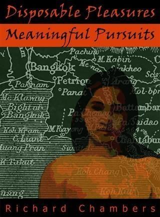 Produktbild: Disposable Pleasures - Meaningful Pursuits