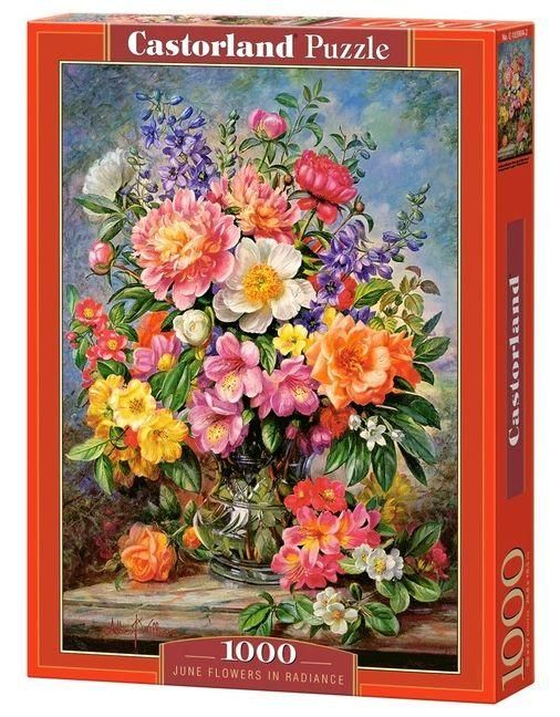 Produktbild: Castorland 1000 Piece Jigsaw Puzzle, June Flowers in Radiance, Flower and Plants Puzzle, Painting Puzzle, Adult Puzzles, Castorland C-103904-2