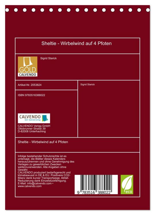 Produktbild: Sheltie - Wirbelwind auf 4 Pfoten (Tischkalender 2026 DIN A5 hoch), CALVENDO Monatskalender