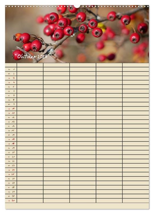 Produktbild: Kleine Natursch&ouml;nheiten (hochwertiger Premium Wandkalender 2026 DIN A2 hoch), Kunstdruck in Hochglanz