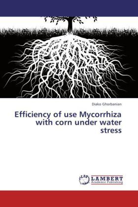 Produktbild: Ghorbanian, D: Efficiency of use Mycorrhiza with corn under