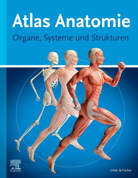 Produktbild: Atlas Anatomie f&uuml;r Laien
