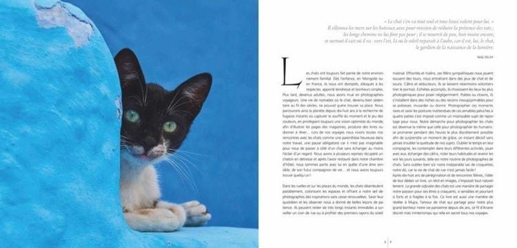 Produktbild: Katzen