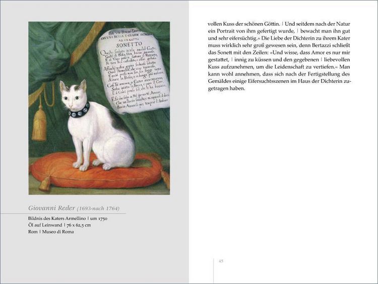 Produktbild: Katzen und ihre Frauen