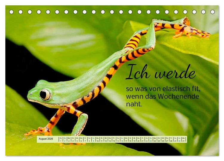 Produktbild: Der Spruchkalender - freiheraus und witzig (Tischkalender 2026 DIN A5 quer), CALVENDO Monatskalender