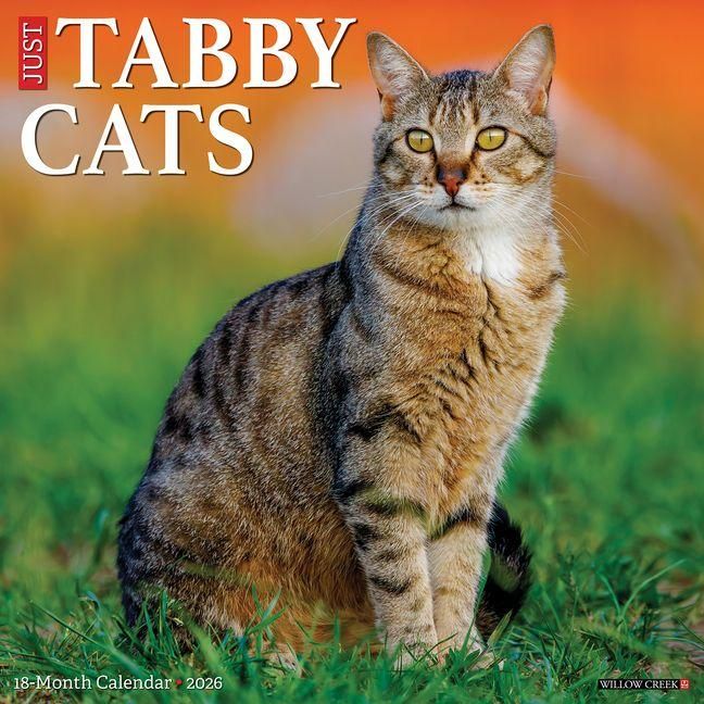 Produktbild: Tabby Cats 2026 Wall Calendar