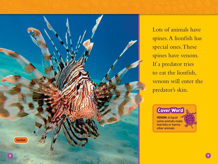 Produktbild: Animal Armor (National Geographic Kids Readers, Level 1)