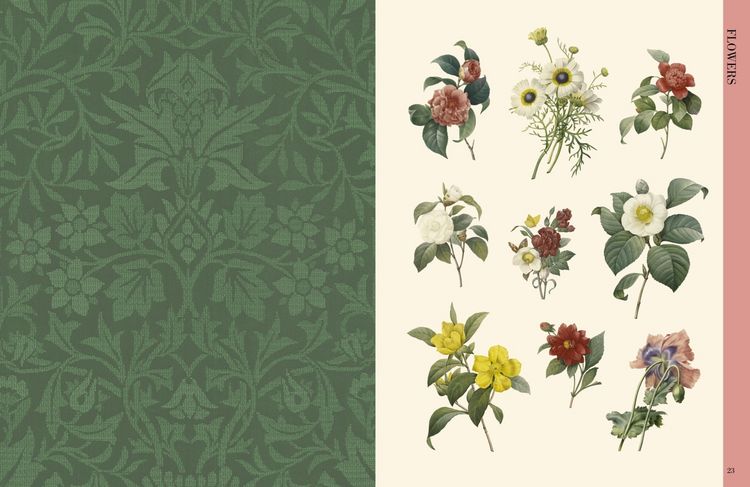 Produktbild: Botanical Art to Cut out and Collage