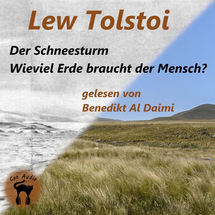 Produktbild: Der Schneesturm & Wieviel Erde braucht der Mensch?