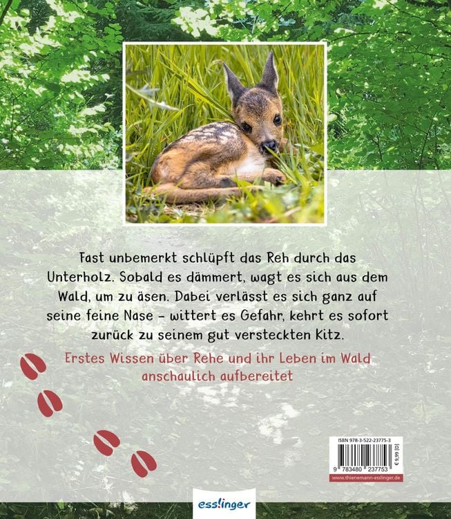 Produktbild: Meine gro&szlig;e Tierbibliothek: Das Reh