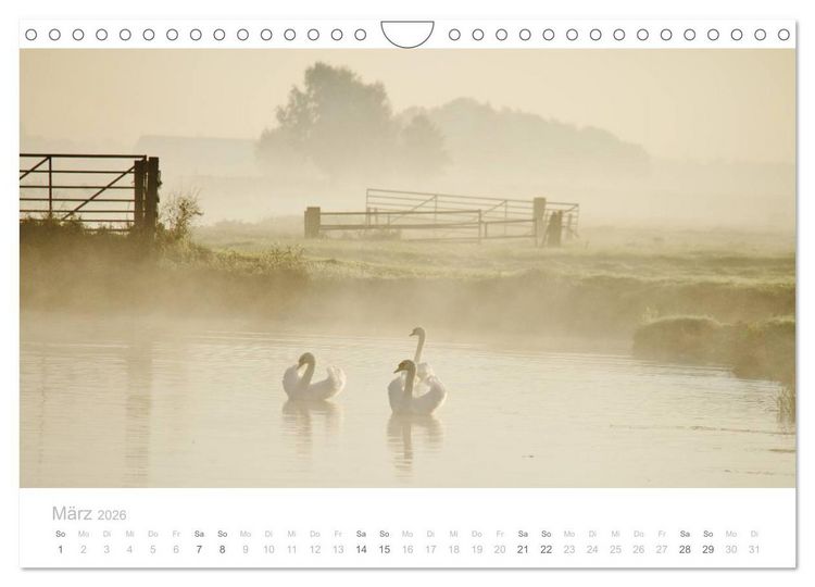 Produktbild: Polderlandschaften in Holland (Wandkalender 2026 DIN A4 quer), CALVENDO Monatskalender