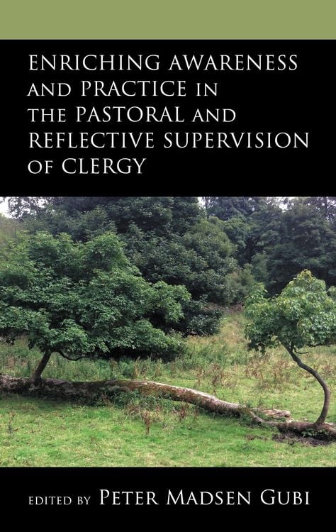Produktbild: Enriching Awareness and Practice in the Pastoral and Reflective Supervision of Clergy