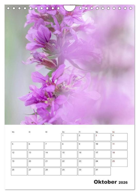 Produktbild: Farbiger Bl&uuml;tentraum (Wandkalender 2026 DIN A4 hoch), CALVENDO Monatskalender