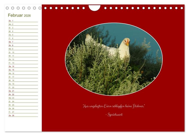 Produktbild: Freilaufende H&uuml;hner (Wandkalender 2026 DIN A4 quer), CALVENDO Monatskalender