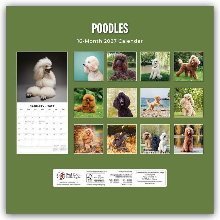 Produktbild: Poodles &ndash; Pudel 2027 &ndash; 16-Monatskalender