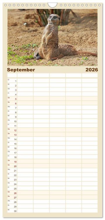 Produktbild: Familienplaner 2026 - Erdm&auml;nnchen mit 5 Spalten (Wandkalender, 21 x 45 cm) CALVENDO