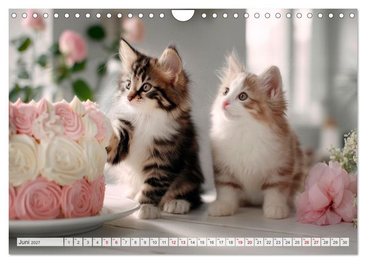 Produktbild: Katzen - Jeder Moment ein Abenteuer (Wandkalender 2027 DIN A4 quer), CALVENDO Monatskalender