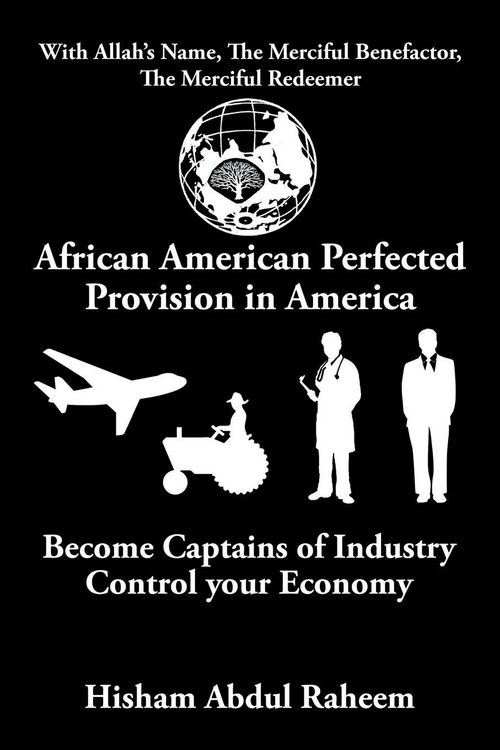 Produktbild: African American Perfected Provision in America