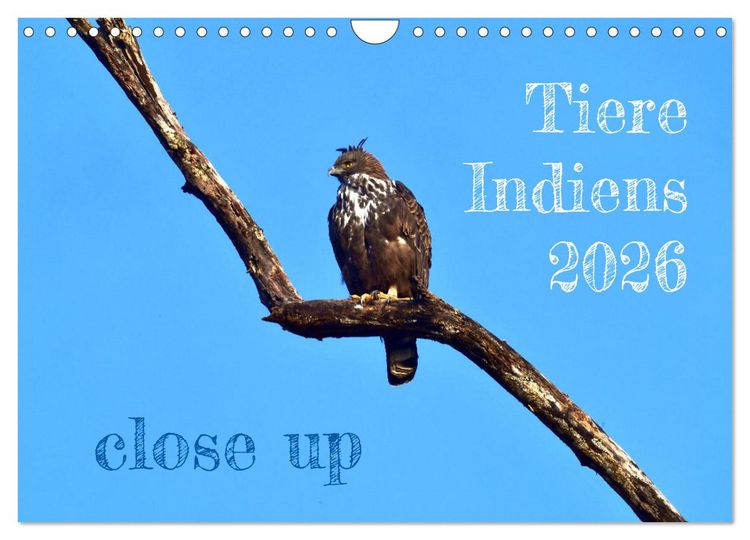 Produktbild: Tiere Indiens close up (Wandkalender 2026 DIN A4 quer), CALVENDO Monatskalender