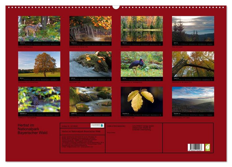 Produktbild: Herbst im Nationalpark Bayerischer Wald (Wandkalender 2026 DIN A2 quer), CALVENDO Monatskalender