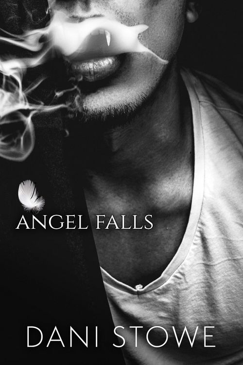 Produktbild: Angel Falls (There Are No Angels Here, #1)