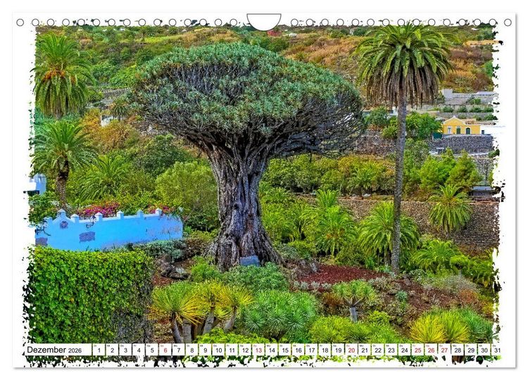 Produktbild: Im Norden von Teneriffa (Wandkalender 2026 DIN A4 quer), CALVENDO Monatskalender