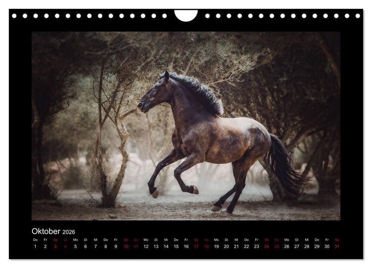 Produktbild: Die Faszinierende Welt der Pferde (Wandkalender 2026 DIN A4 quer), CALVENDO Monatskalender
