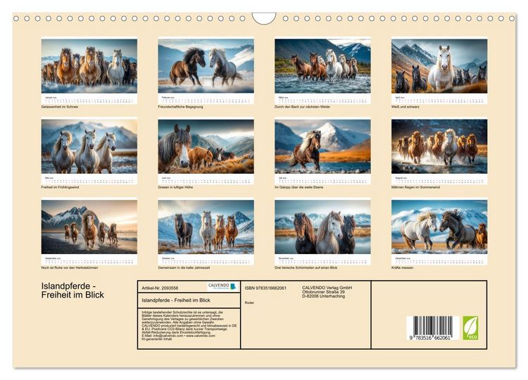 Produktbild: Islandpferde - Freiheit im Blick (Wandkalender 2026 DIN A3 quer), CALVENDO Monatskalender