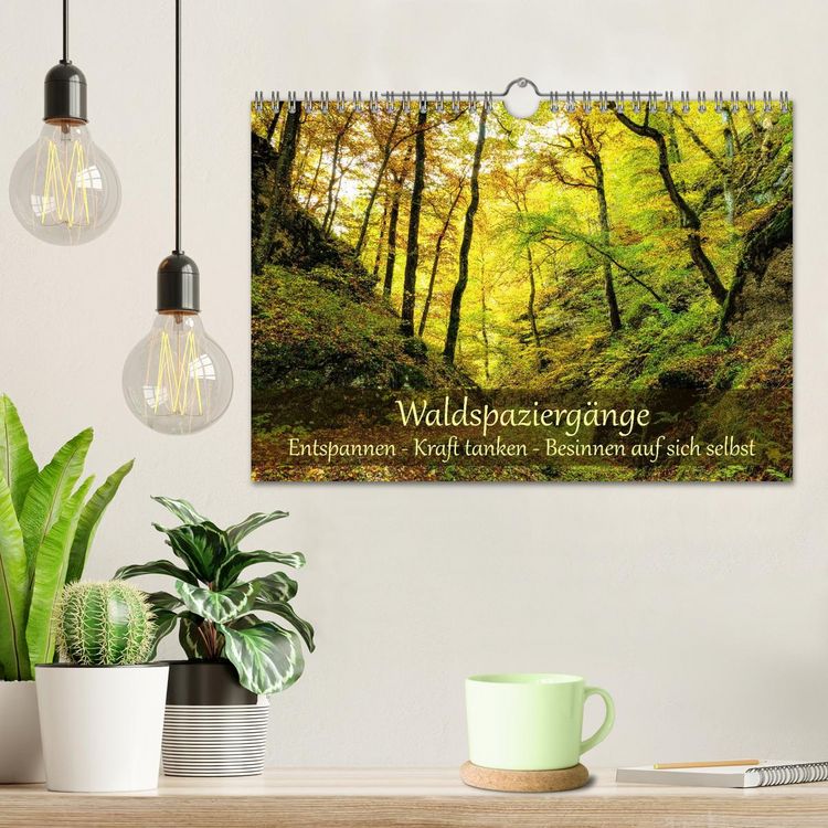 Produktbild: Waldspazierg&auml;nge: Entspannen - Kraft tanken - Besinnen auf sich selbst (Wandkalender 2027 DIN A4 quer), CALVENDO Monatskalender