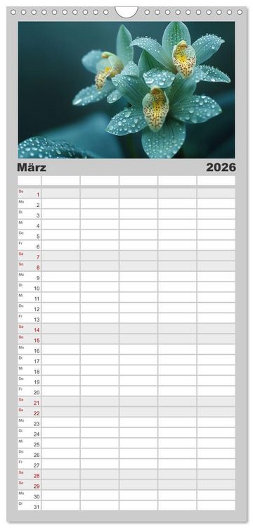 Produktbild: Familienplaner 2026 - Orchideen - farbenfroh durchs Jahr mit 5 Spalten (Wandkalender, 21 x 45 cm) CALVENDO