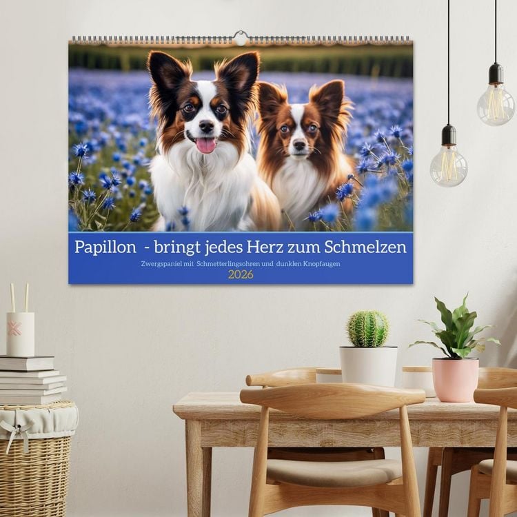 Produktbild: Papillon - bringt jedes Herz zum Schmelzen (Wandkalender 2026 DIN A2 quer), CALVENDO Monatskalender