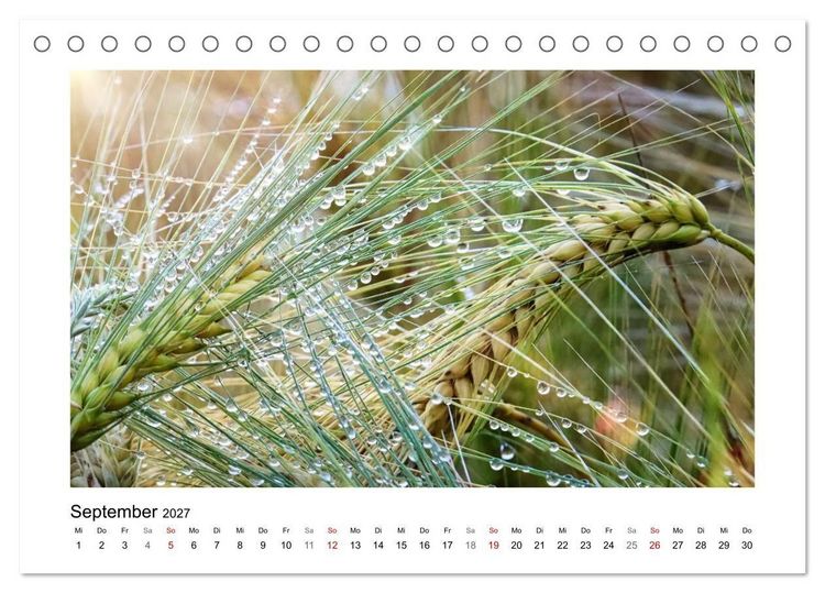 Produktbild: Naturkunstwerke (Tischkalender 2027 DIN A5 quer), CALVENDO Monatskalender