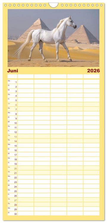 Produktbild: Familienplaner 2026 - Bezaubernde Eleganz wei&szlig;er Pferde mit 5 Spalten (Wandkalender, 21 x 45 cm) CALVENDO