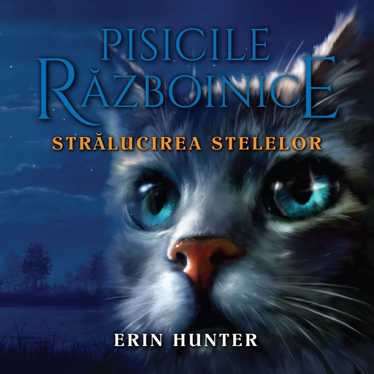 Produktbild: Strălucirea stelelor
