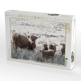 Produktbild: CALVENDO Puzzle Schottisches Hochlandrind in Glencoe | 1000 Teile Lege-Gr&ouml;&szlig;e 64x48cm Foto-Puzzle f&uuml;r gl&uuml;ckliche Stunden