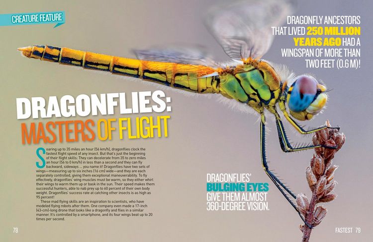 Produktbild: National Geographic Kids Extreme Records