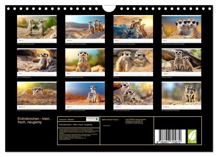Produktbild: Erdm&auml;nnchen - klein, frech, neugierig (Wandkalender 2026 DIN A4 quer), CALVENDO Monatskalender