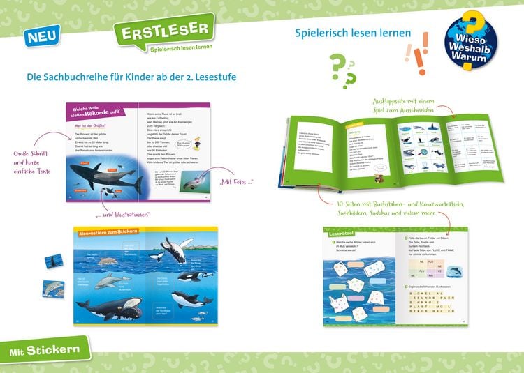 Produktbild: Wieso? Weshalb? Warum? Erstleser, Band 3: Wale und Delfine