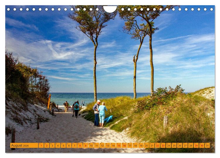 Produktbild: Wilder Dar&szlig;er Weststrand (Wandkalender 2026 DIN A4 quer), CALVENDO Monatskalender