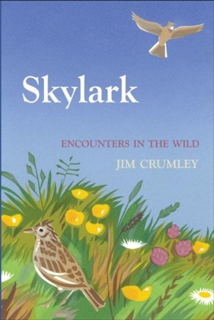 Produktbild: Skylark