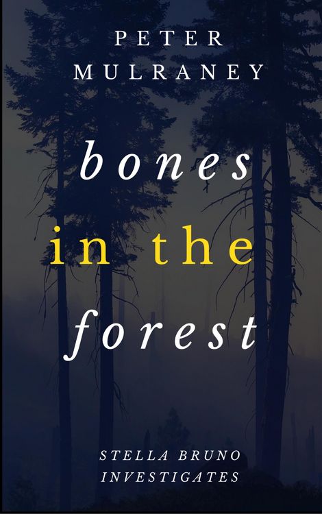 Produktbild: Bones in the Forest (Stella Bruno Investigates, #3)