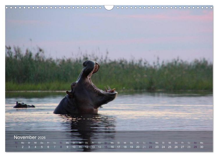 Produktbild: Botswana Wildlife (Wandkalender 2026 DIN A3 quer), CALVENDO Monatskalender
