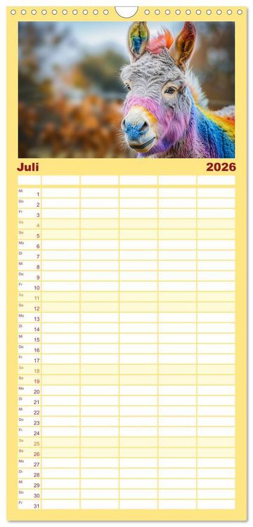 Produktbild: Familienplaner 2026 - Lustige Eselgeschichten mit 5 Spalten (Wandkalender, 21 x 45 cm) CALVENDO