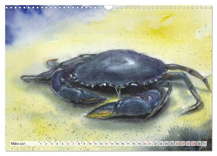 Produktbild: Die Meereswelt in Aquarell (Wandkalender 2027 DIN A3 quer), CALVENDO Monatskalender