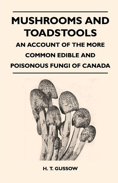Produktbild: Mushrooms And Toadstools - An Account Of The More Common Edible And Poisonous Fungi Of Canada