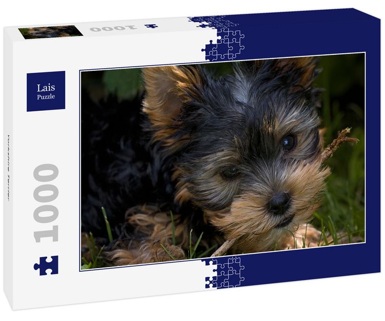 Produktbild: Lais Puzzle Yorkshire Terrier 1000 Teile