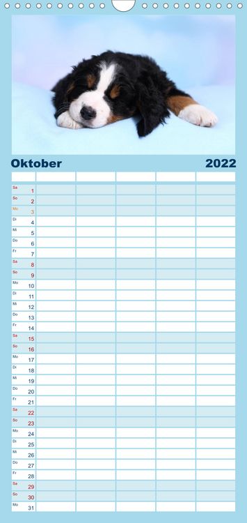 Produktbild: Familienplaner S&uuml;&szlig;e Tr&auml;ume 2022 - schlafende Hundewelpen (Wandkalender 2022 , 21 cm x 45 cm, hoch)
