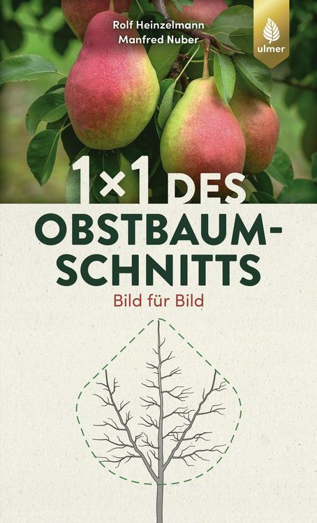 Produktbild: 1 x 1 des Obstbaumschnitts