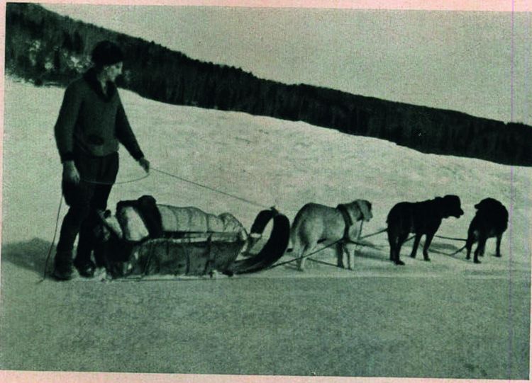 Produktbild: Wildes Kanada